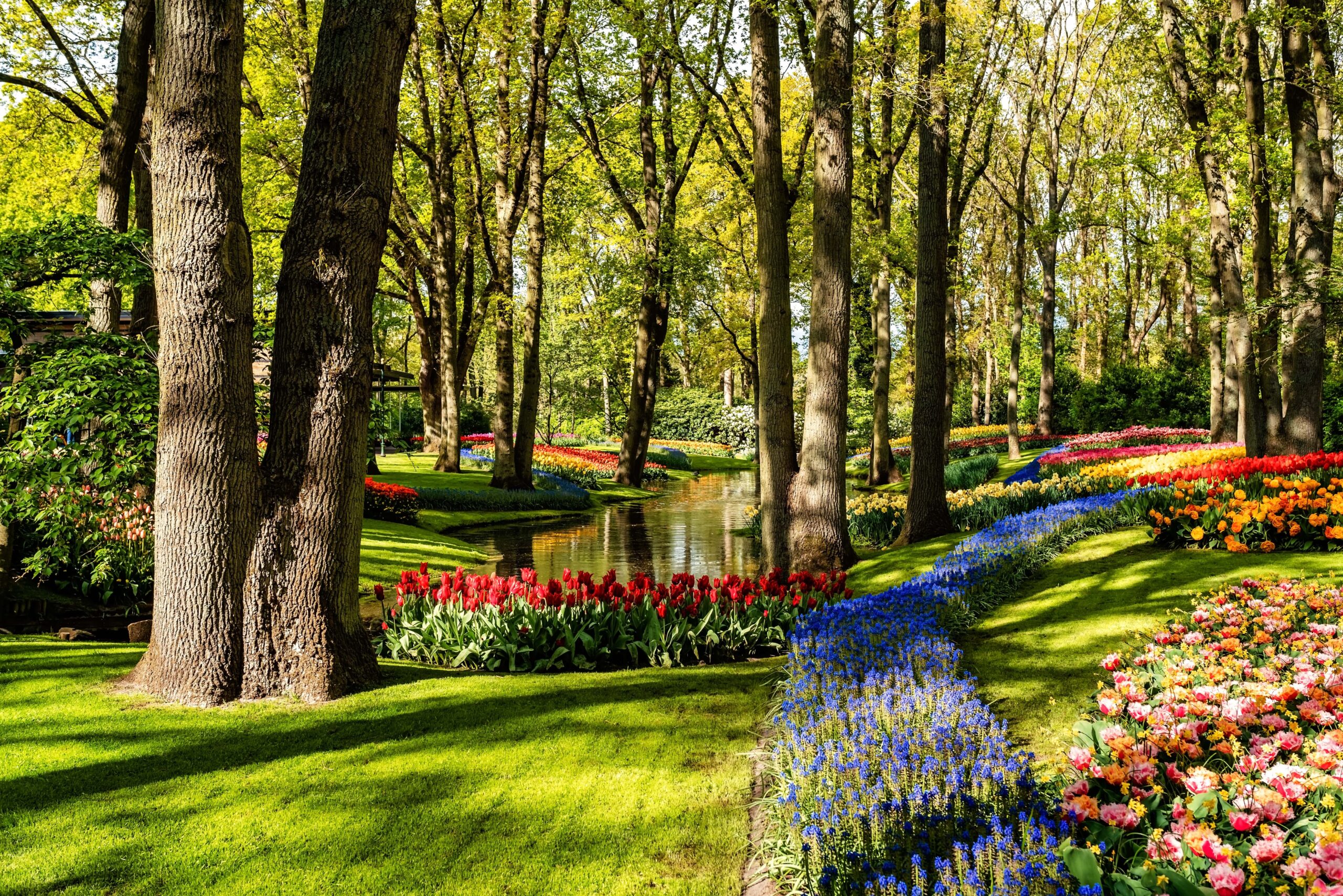 Discover the Cave Gardens – Just 3 Minutes from Arkana